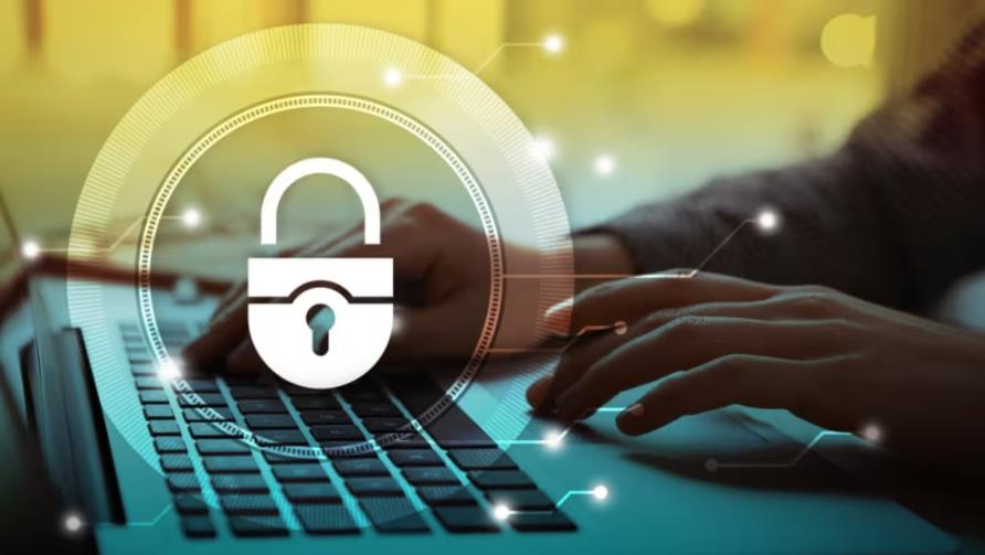 梨树区软件开发